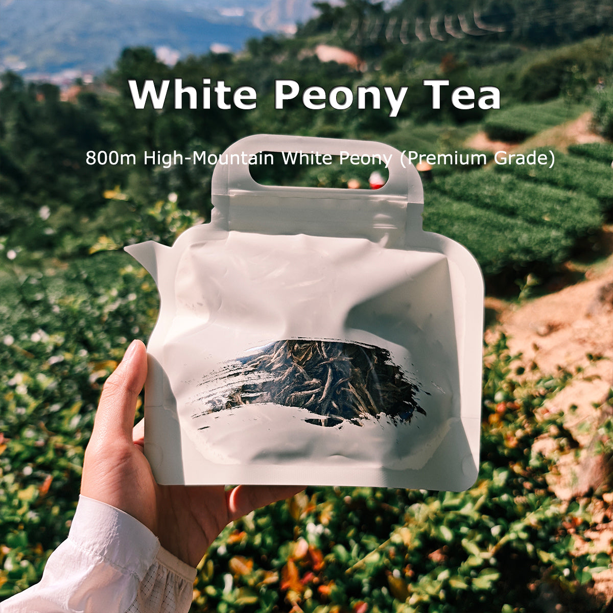 White Peony Tea 50g Chaliland