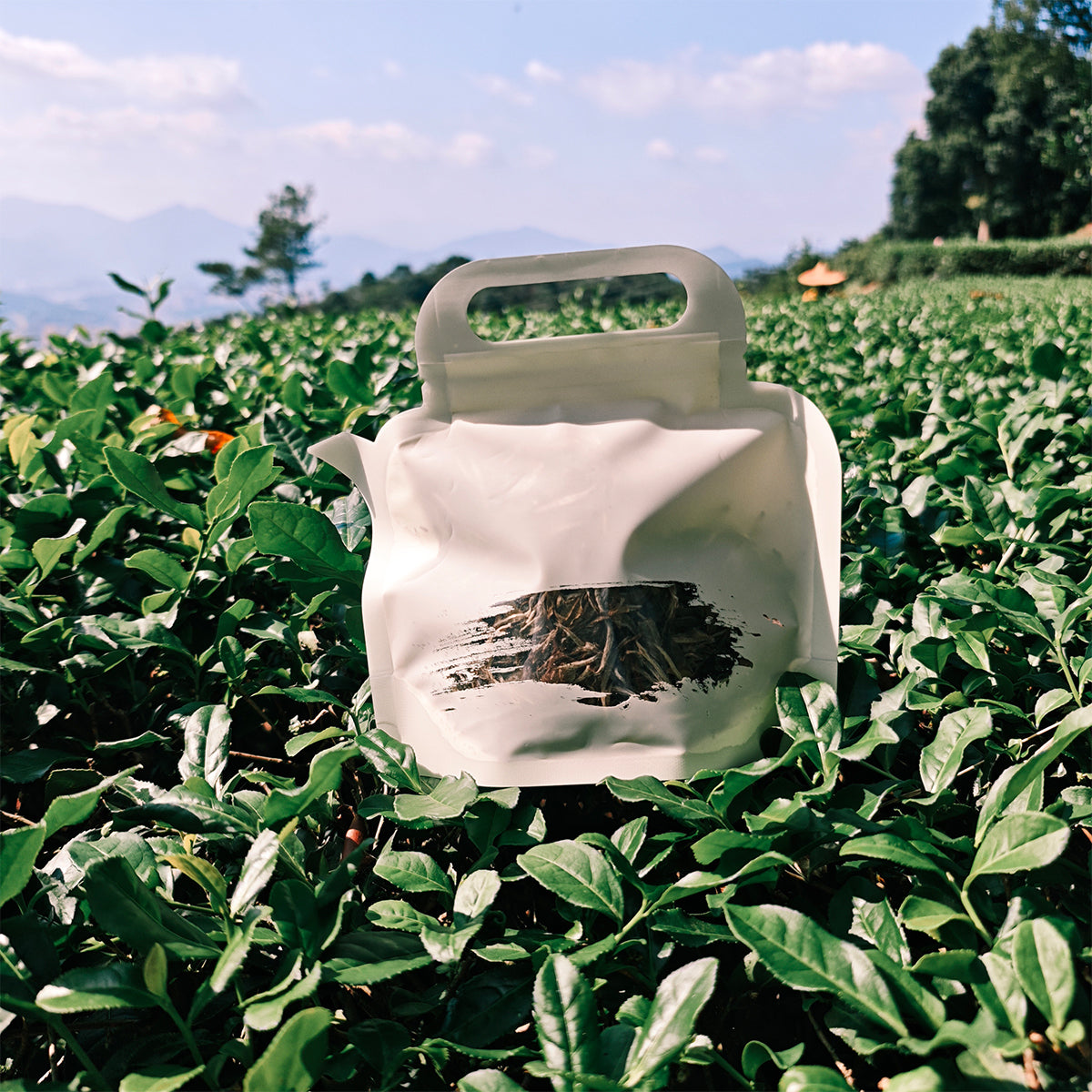 White Peony Tea 50g Chaliland