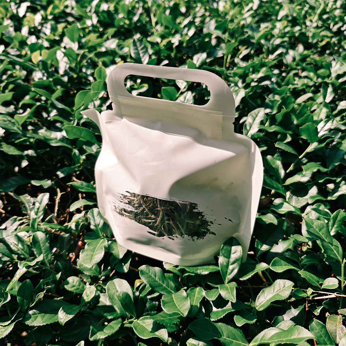 White Peony Tea 50g Chaliland