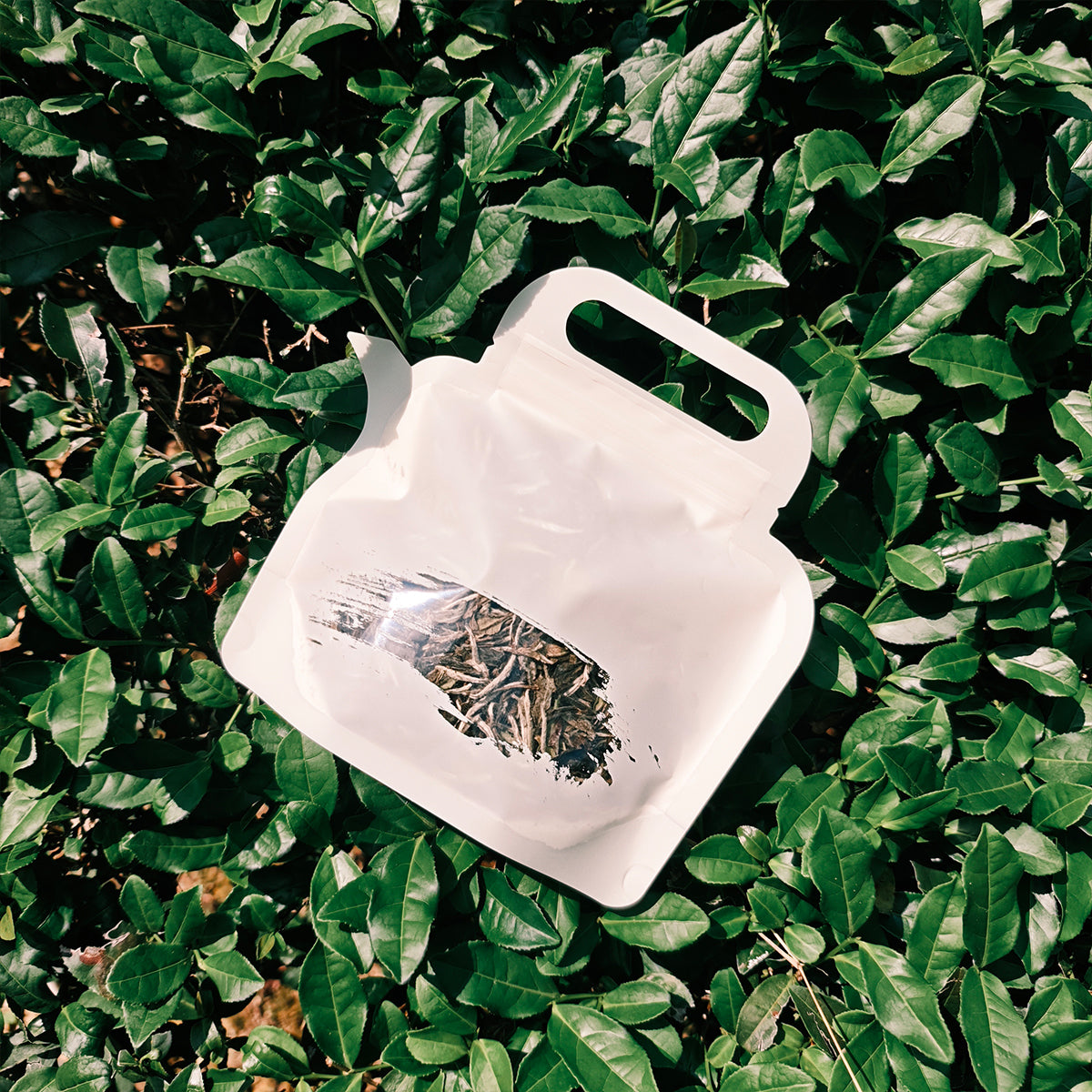 White Peony Tea 50g Chaliland
