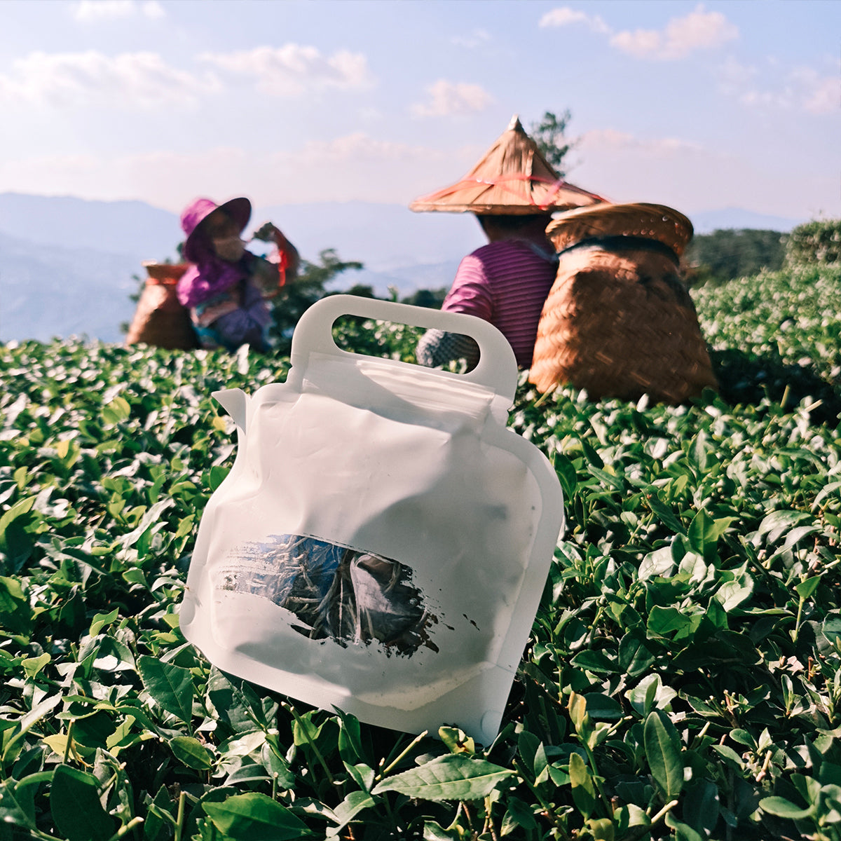 White Peony Tea 50g Chaliland