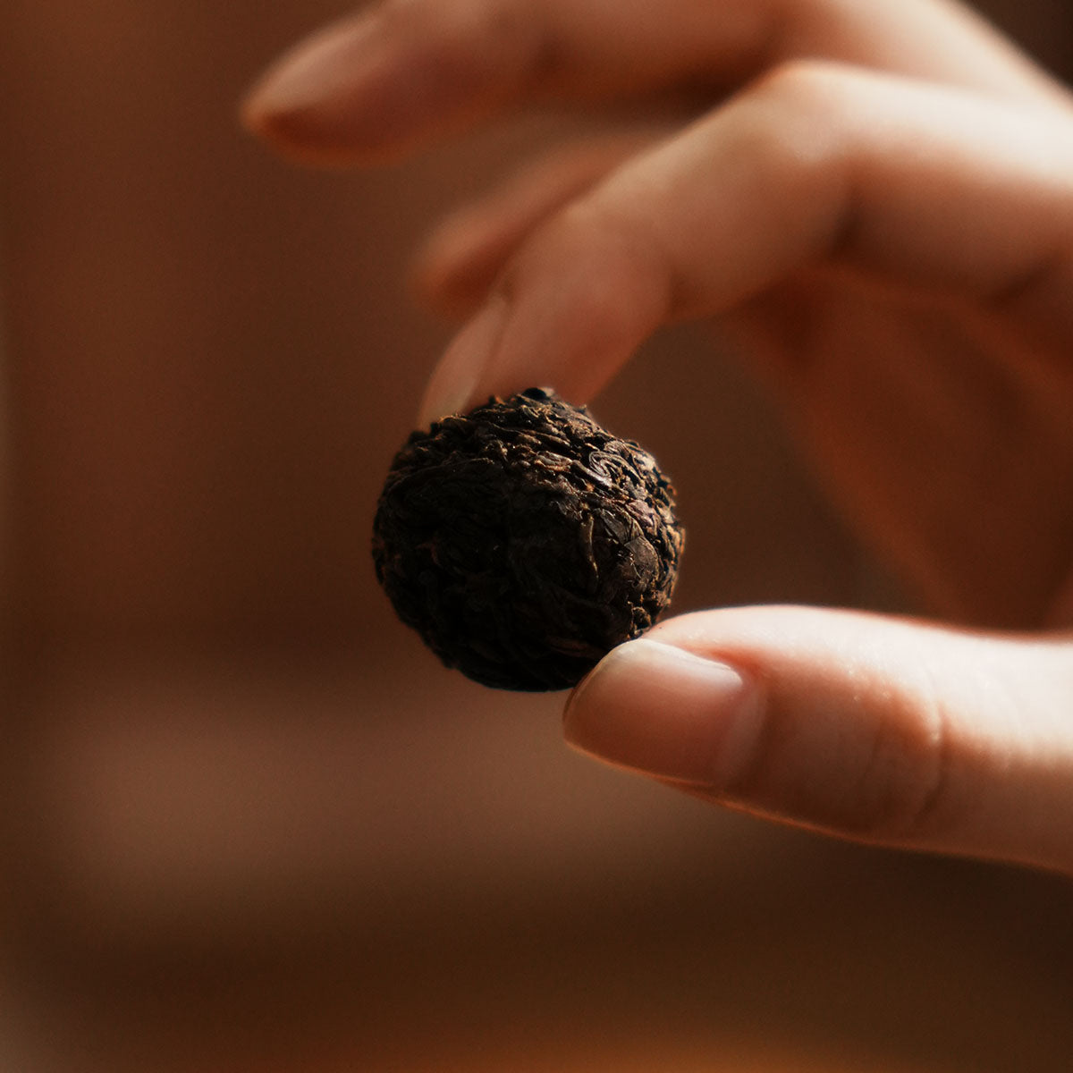 Ripe Pu Erh Tea Dragon Balls 63g Chaliland