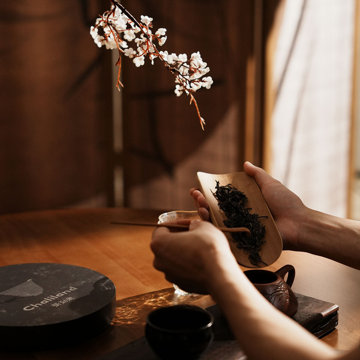 Yiwu Raw Pu Erh Chaliland