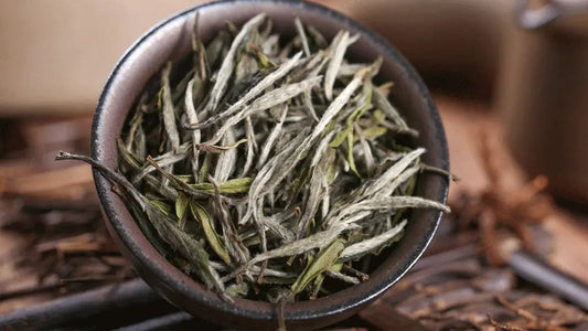 Benefits-of-White-Tea-for-Health JadePeakReserve