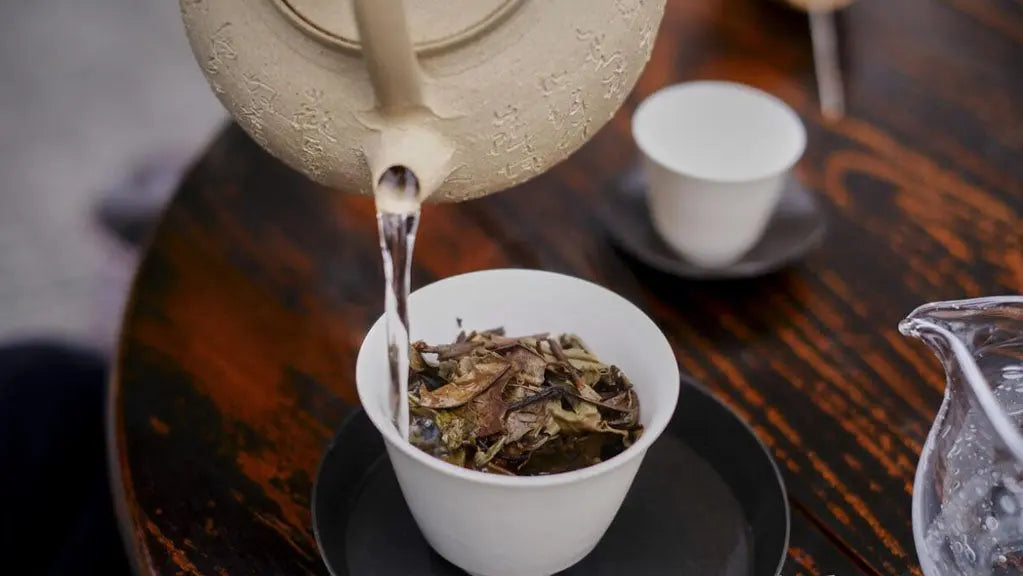 Can-All-Teas-Be-Brewed-with-100-Water JadePeakReserve