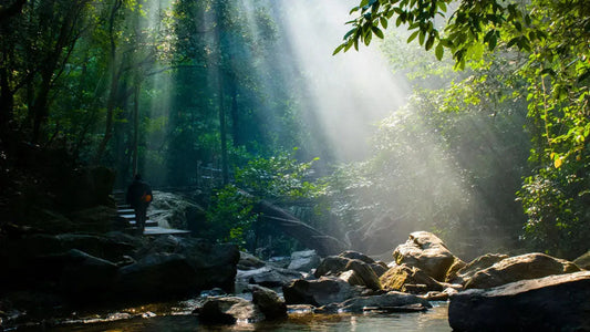 Does-the-Quality-of-Water-Affect-the-Taste-of-Your-Tea JadePeakReserve