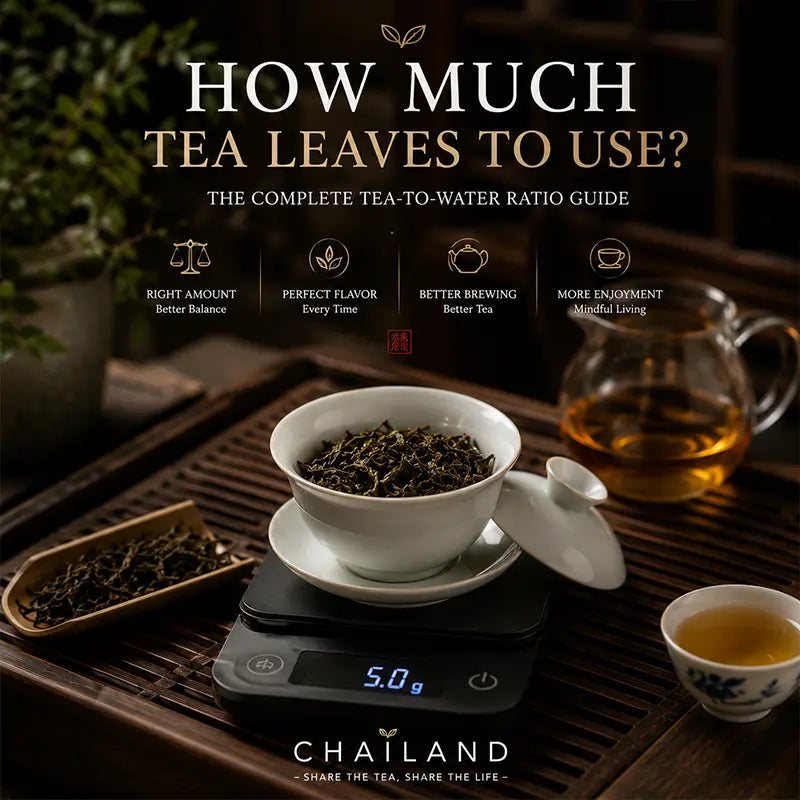 How Much Tea Leaves to Use: The Complete Tea-to-Water Ratio Guide