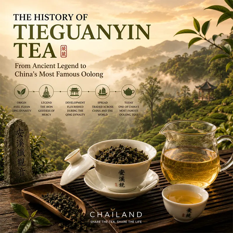 The History of Tieguanyin Tea: From Ancient Legend to China's Most Famous Oolong