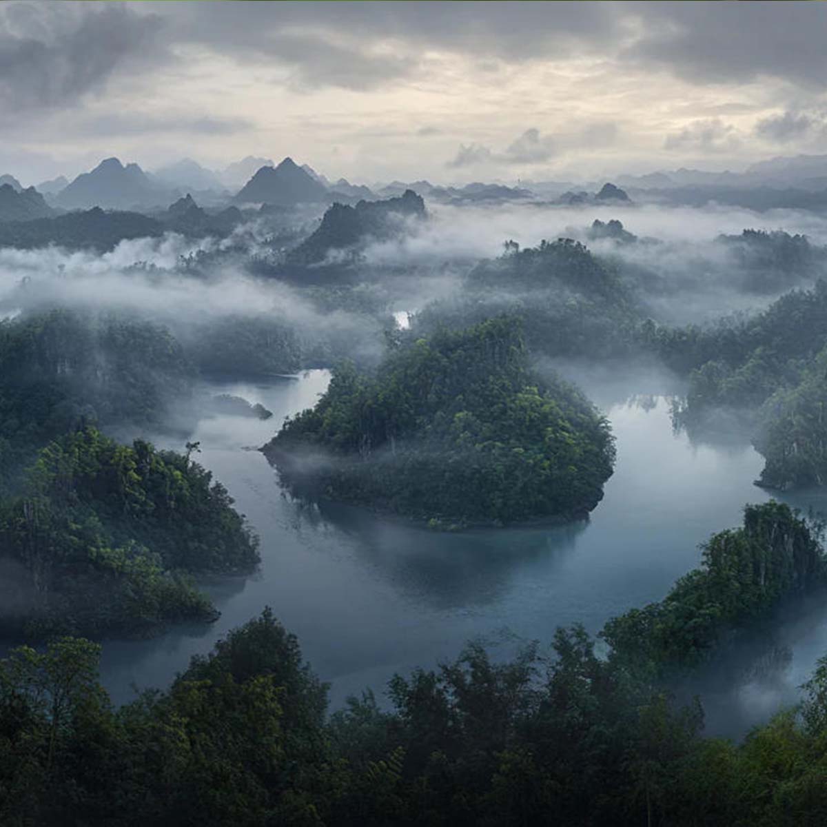 What Is Oolong Tea? A Complete Guide to Chinese Oolong Tea