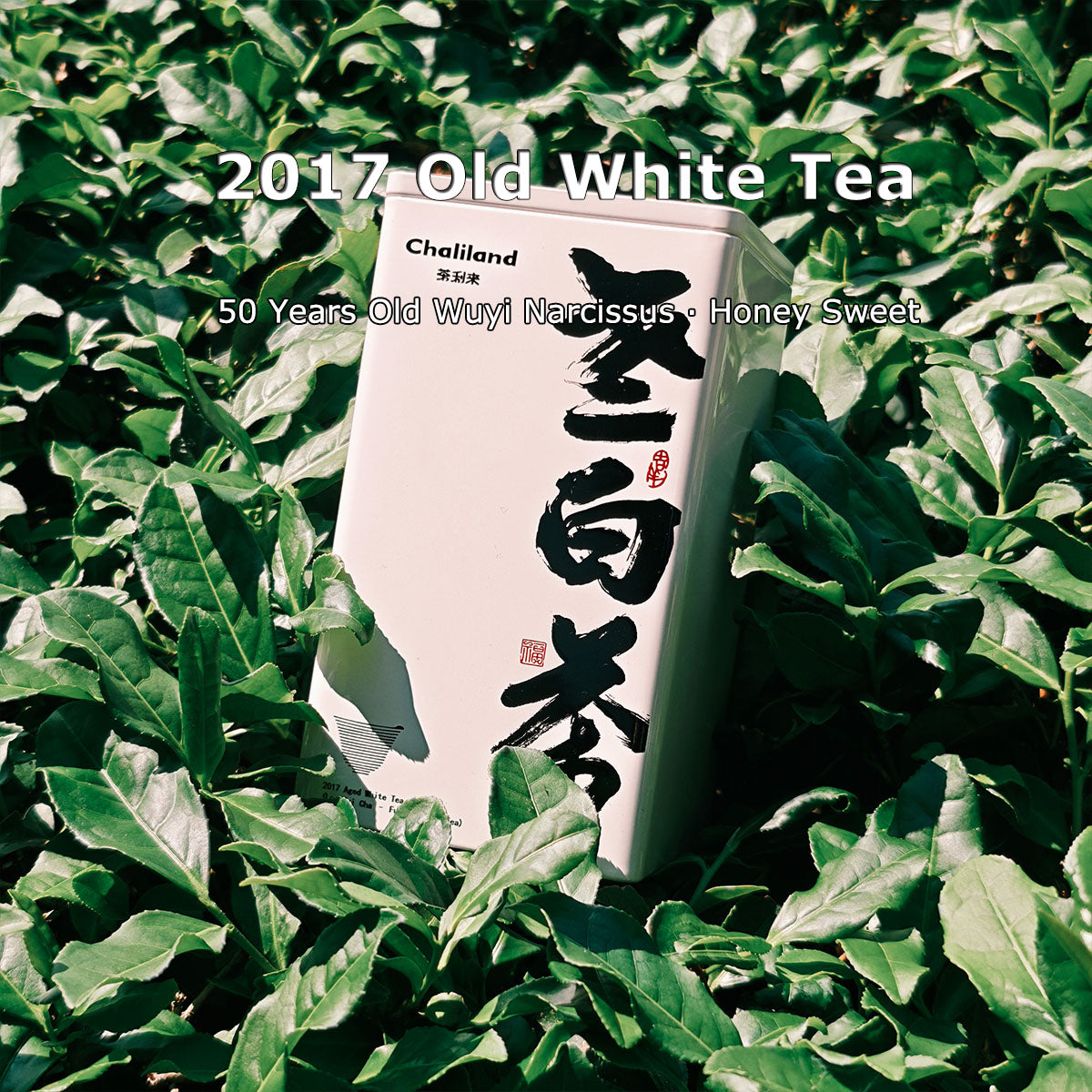 2017 Old White Tea 50g Chaliland