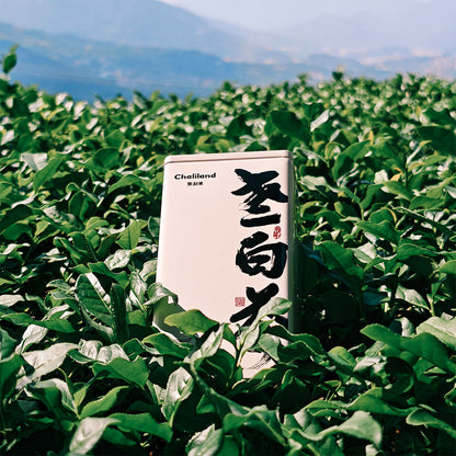 2017 Old White Tea 50g Chaliland