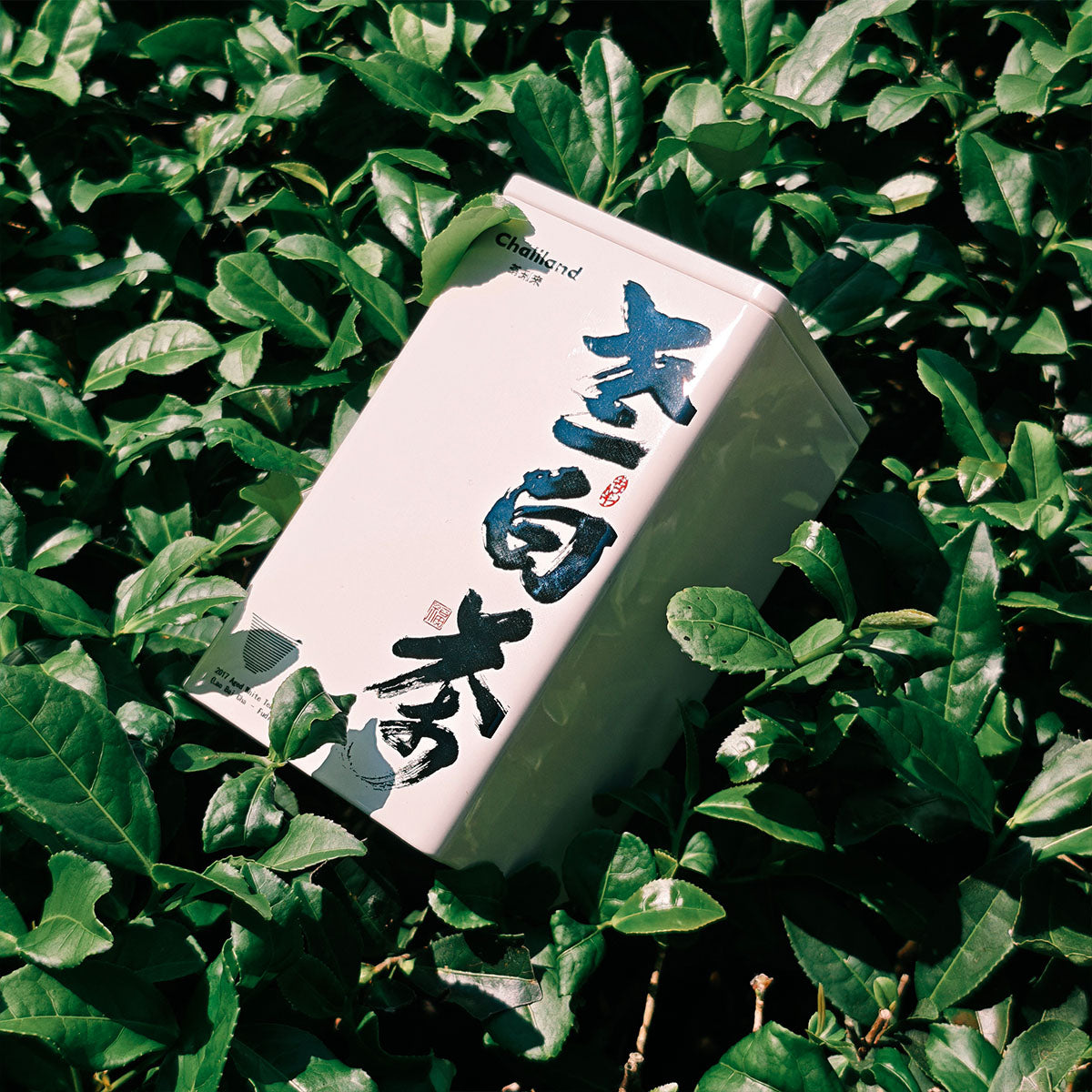 2017 Old White Tea 50g Chaliland