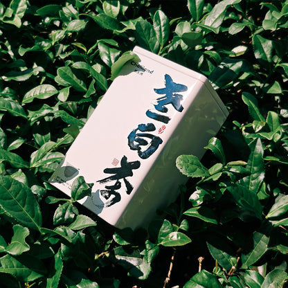 2017 Old White Tea 50g Chaliland