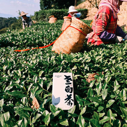 2017 Old White Tea 50g Chaliland