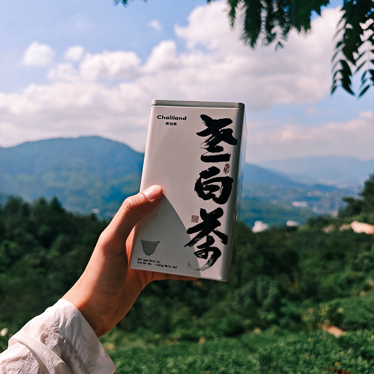 2017 Old White Tea 50g Chaliland