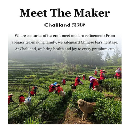 Wild Ancient Tree Black Tea 75g Chaliland