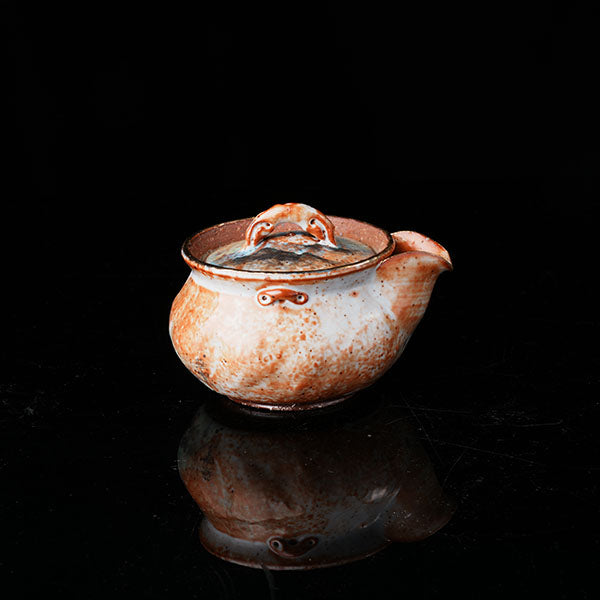 Classic of Mountains and Seas Teapot - Traditional ceramic teapot with rustic glaze, featuring mythical creature motifs inspired by Shan Hai Jing. Handcrafted, earthy tones, lid with handle, ideal for tea rituals. Showcases cultural artistry, intricate detailing, and functional elegance. Perfect for collectors of unique teaware, blending mythology with craftsmanship. 