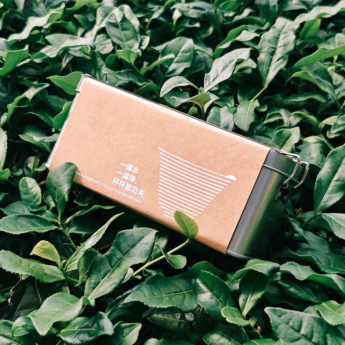 Coffee Aroma Oolong Tea 32g Chaliland