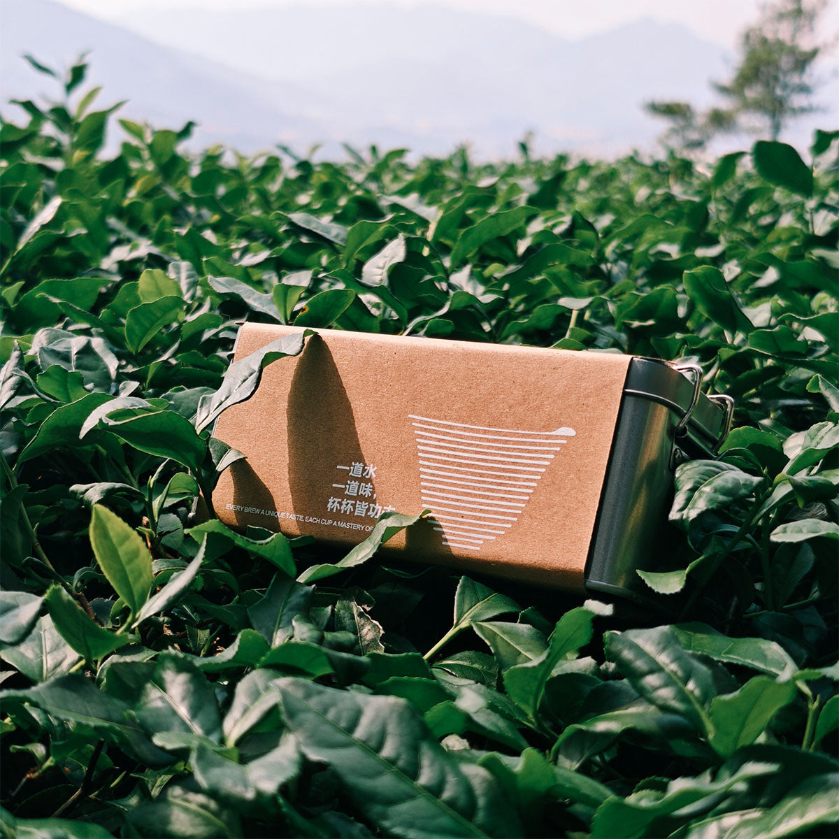 Coffee Aroma Oolong Tea 32g Chaliland