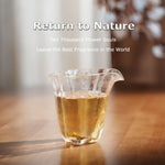 Fuding Jasmine Bai Hao(70g) Chaliland