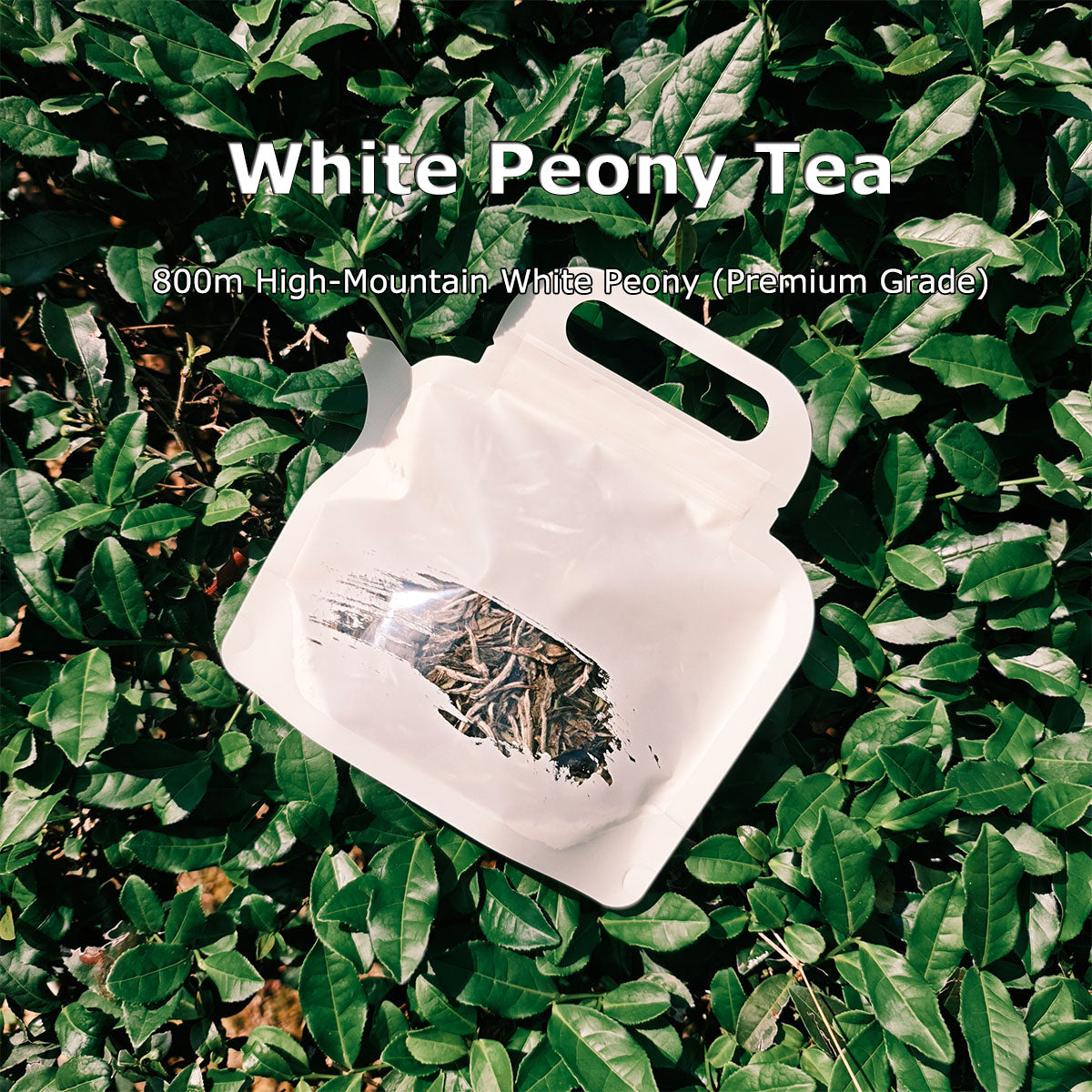 White Peony Tea 50g Chaliland