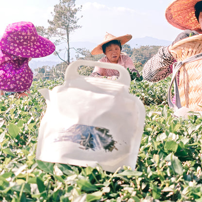 White Peony Tea 50g Chaliland