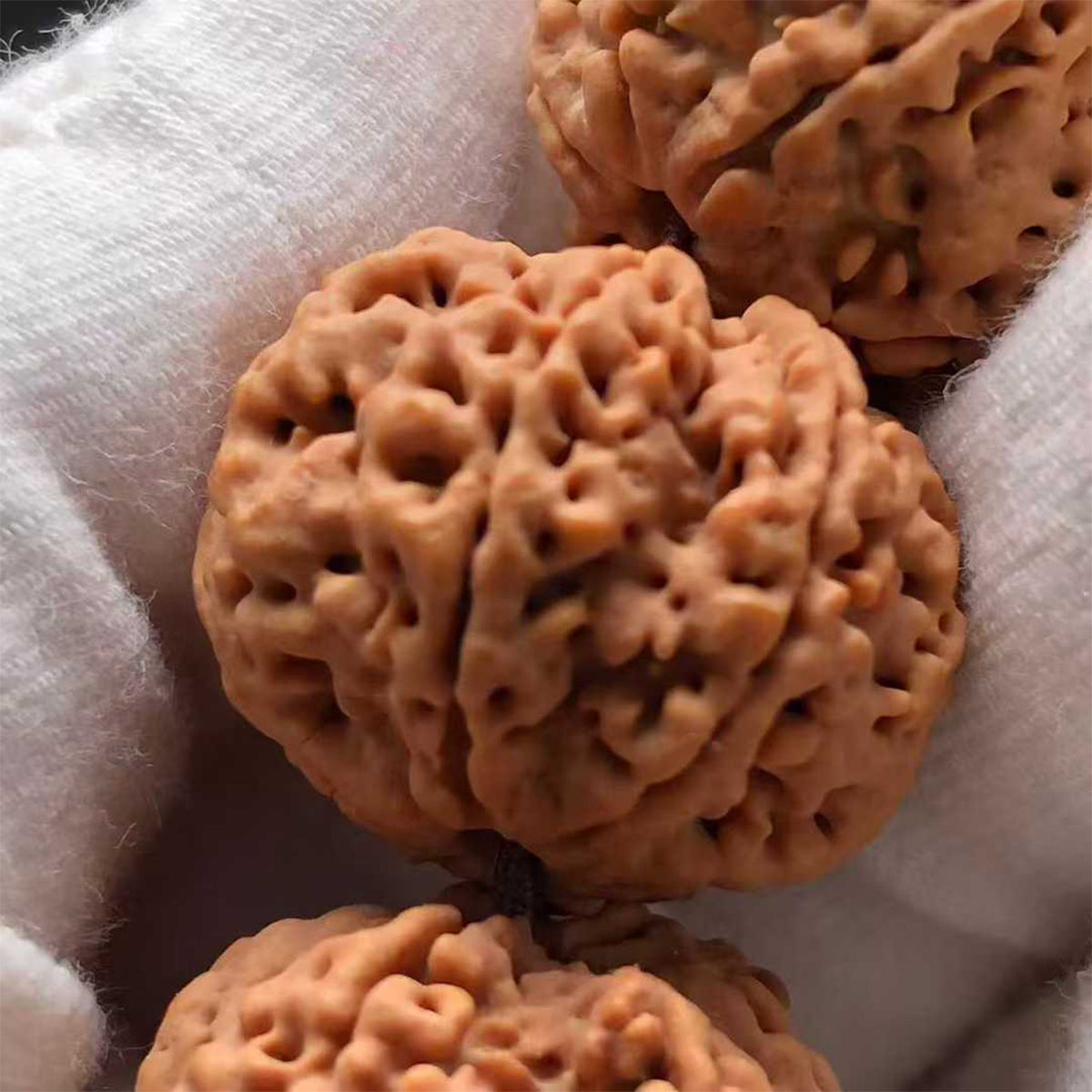 Nepal Six-Petaled Vajra Chaliland