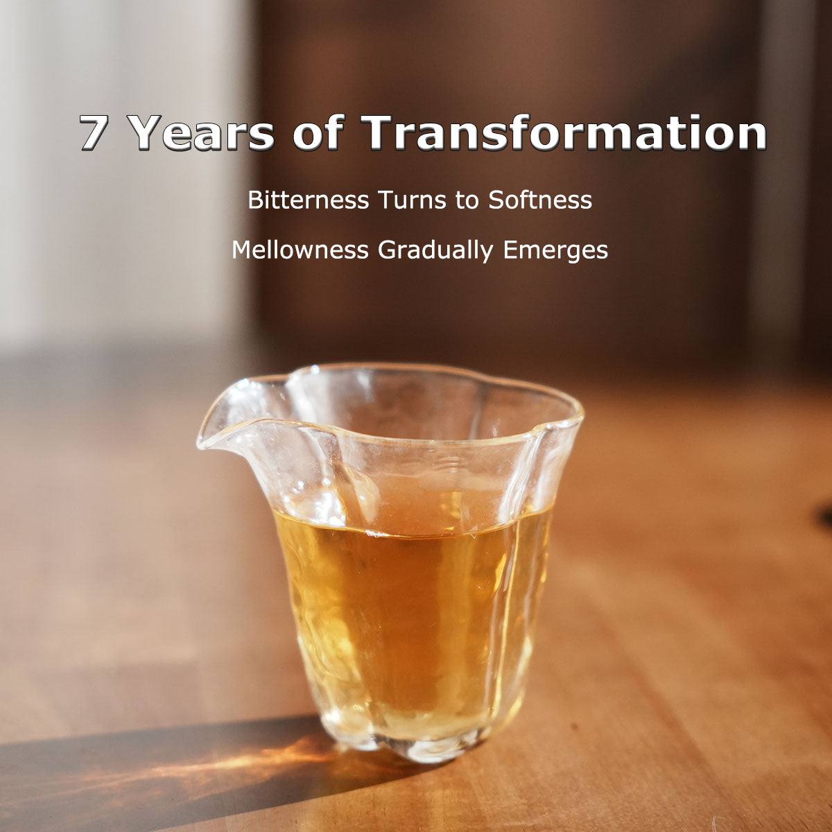 Raw Pu Erh Tea Dragon Balls Chaliland