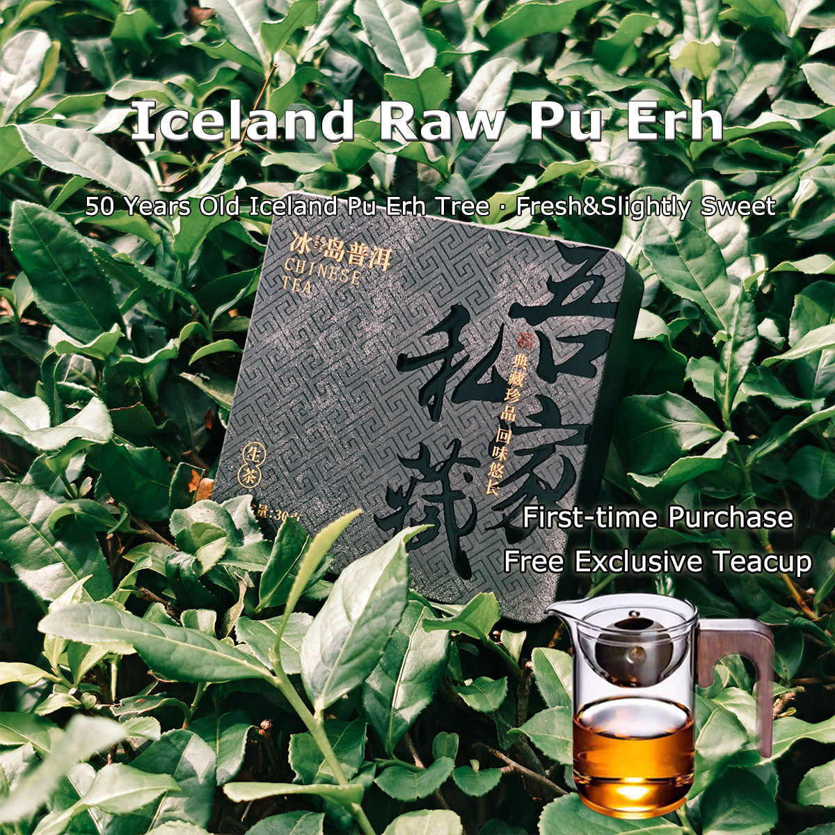 Raw Pu Erh Tea Dragon Balls 63g Chaliland