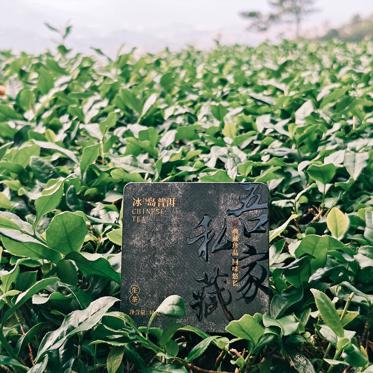 Raw Pu Erh Tea Dragon Balls 63g Chaliland