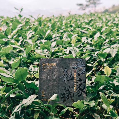 Raw Pu Erh Tea Dragon Balls 63g Chaliland