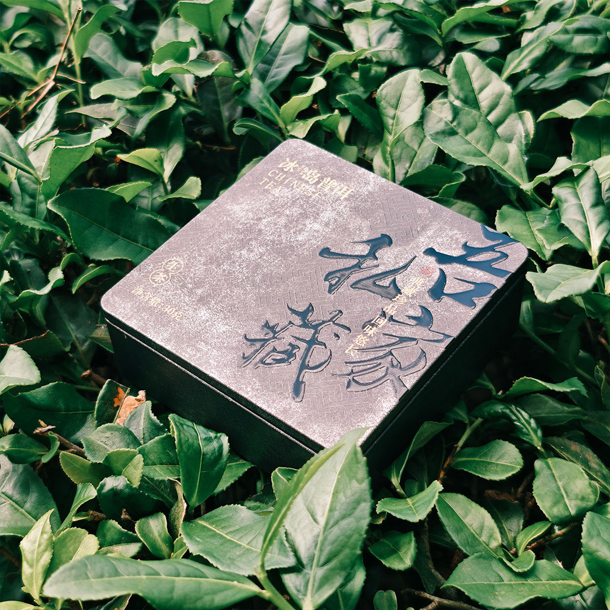 Raw Pu Erh Tea Dragon Balls 63g Chaliland