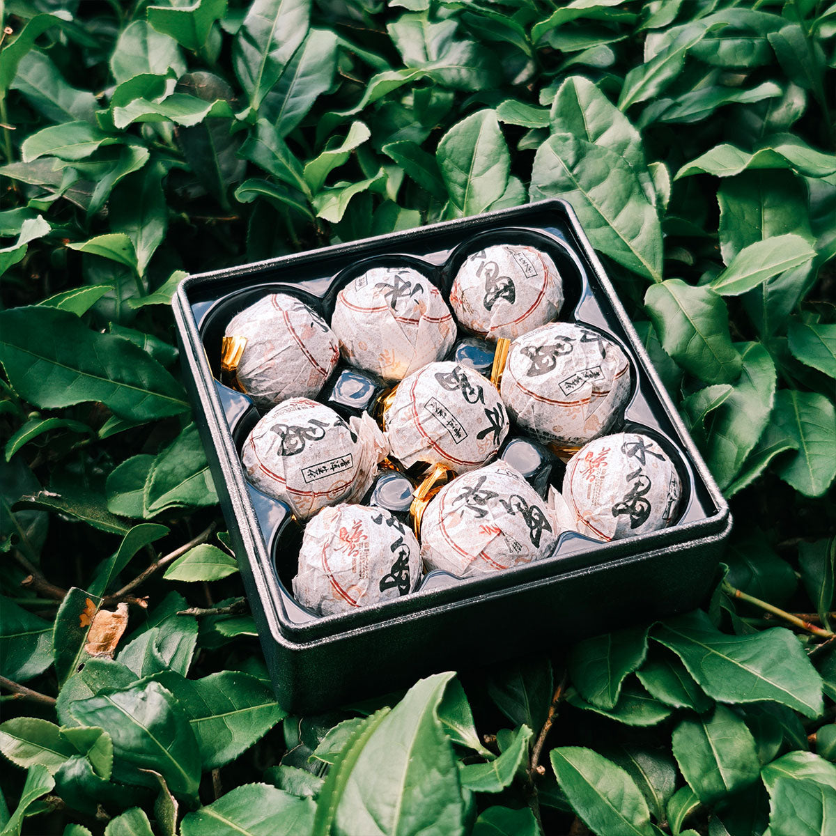 Raw Pu Erh Tea Dragon Balls 63g Chaliland