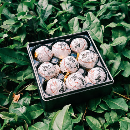 Raw Pu Erh Tea Dragon Balls 63g Chaliland