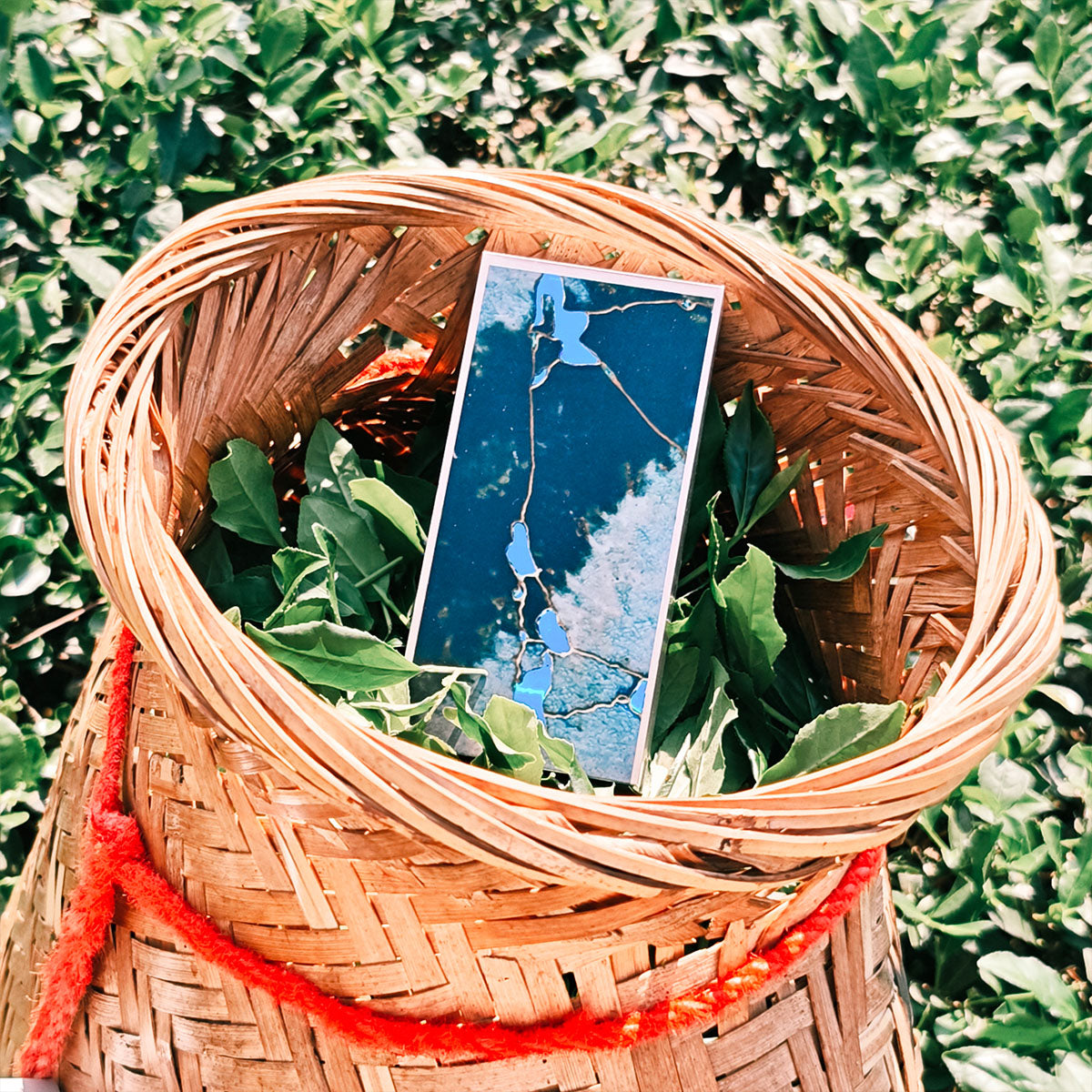 Relic(36g) Chaliland