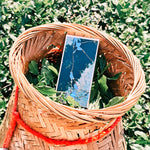 Relic(36g) Chaliland