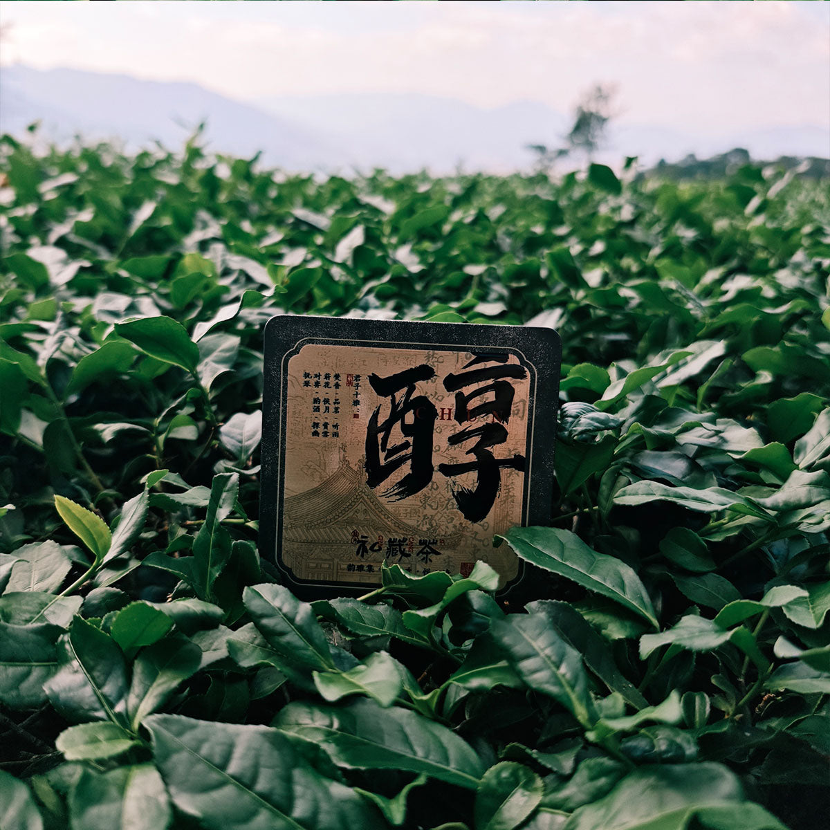 Ripe Pu Erh Tea Dragon Balls 63g Chaliland