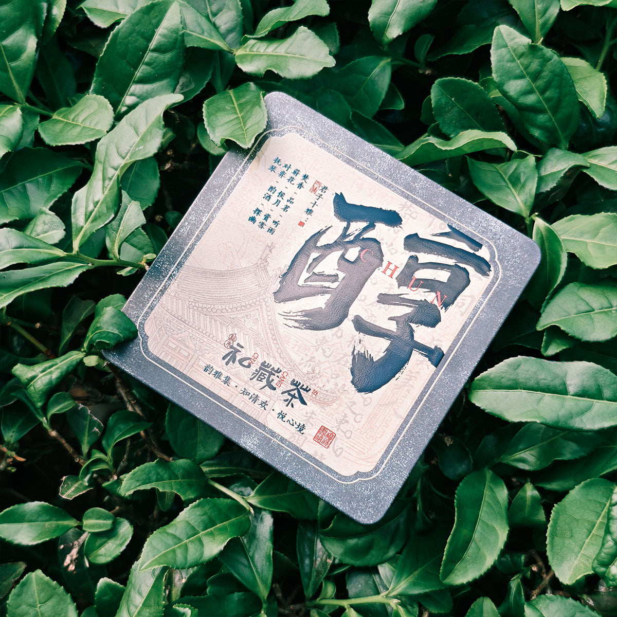 Ripe Pu Erh Tea Dragon Balls 63g Chaliland