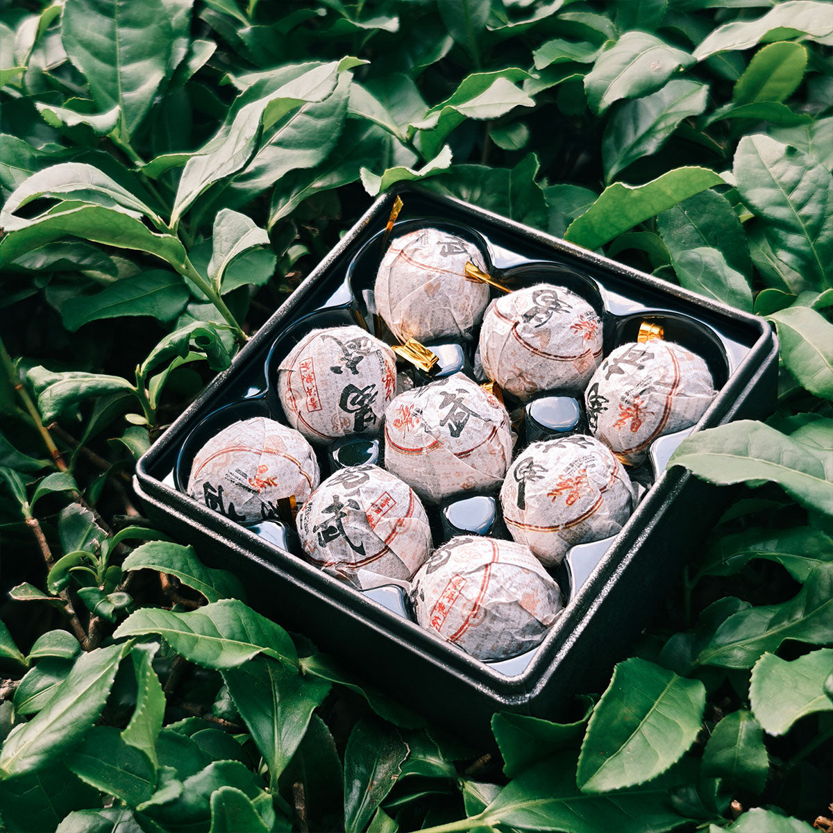 Ripe Pu Erh Tea Dragon Balls 63g Chaliland