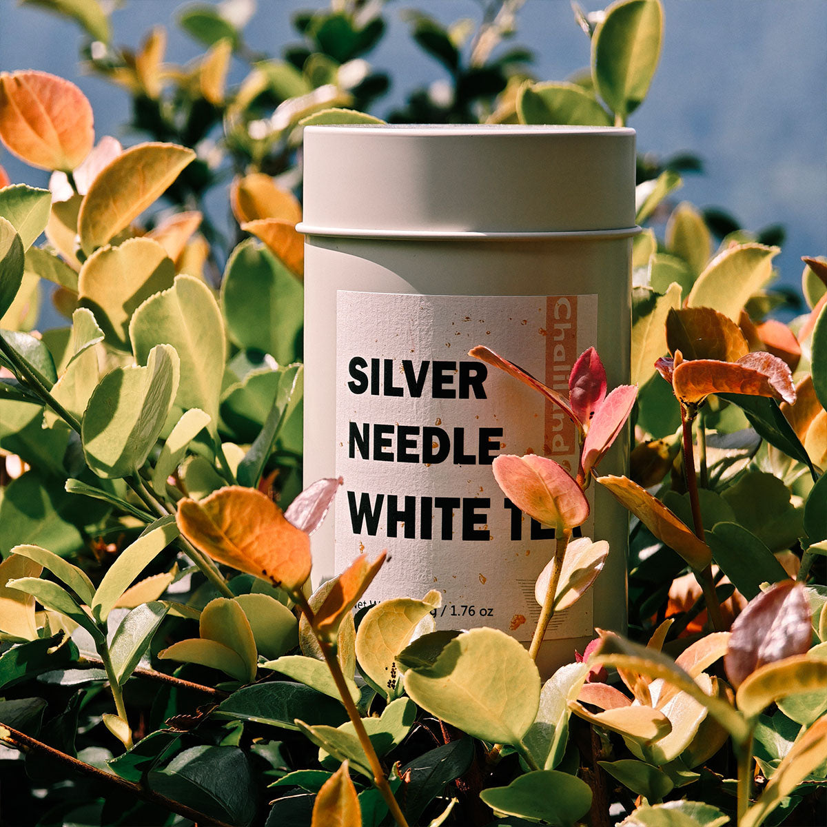 Silver Needle White Tea 50g Chaliland