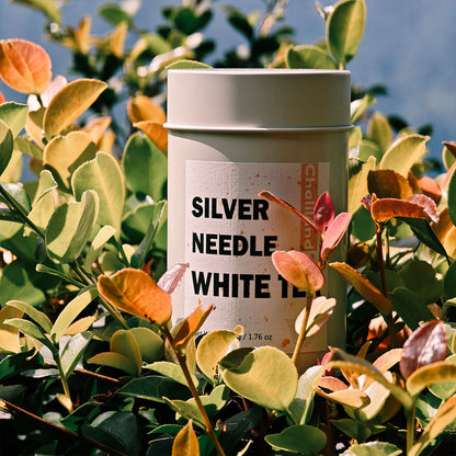 Silver Needle White Tea 50g Chaliland