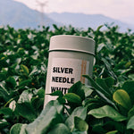 Silver Needle White Tea 50g Chaliland