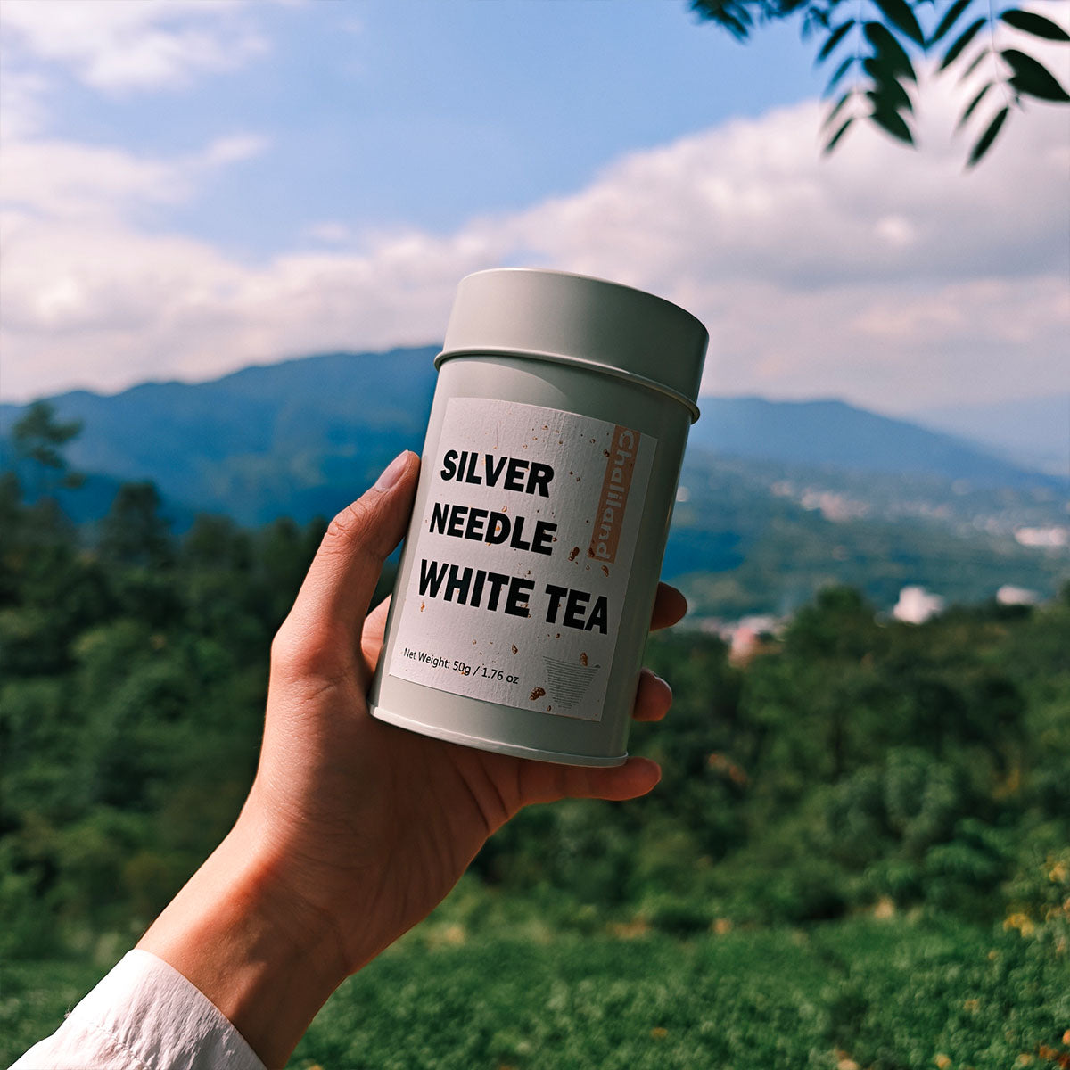 Silver Needle White Tea 50g Chaliland