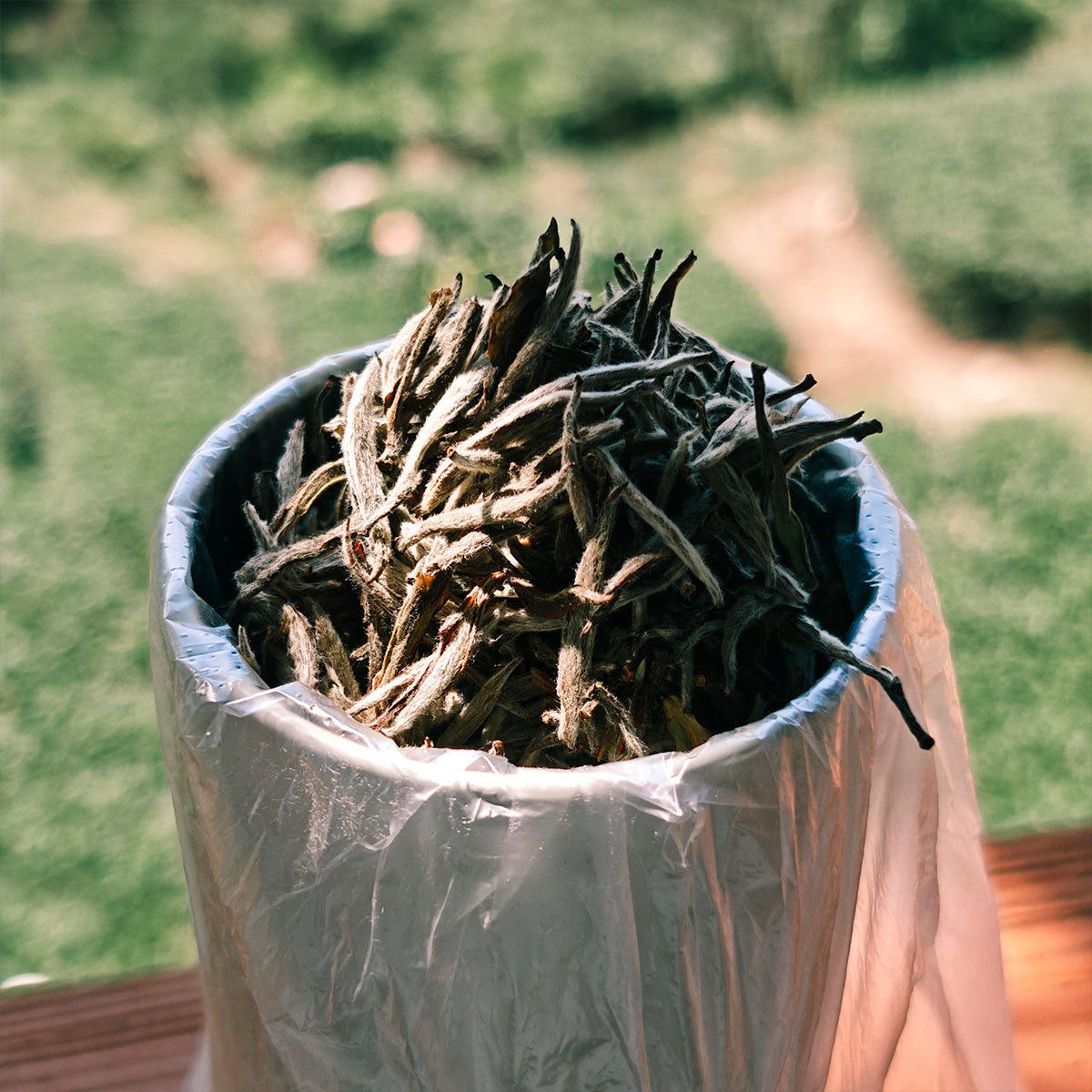 Silver Needle White Tea 50g Chaliland