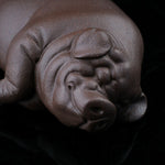 This is a pig tea pet that has fallen into a deep sleep.