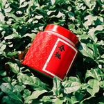 Spring Blossom Wuyi Oolong 50g Chaliland