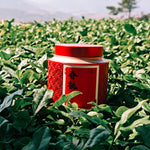 Spring Blossom Wuyi Oolong 50g Chaliland