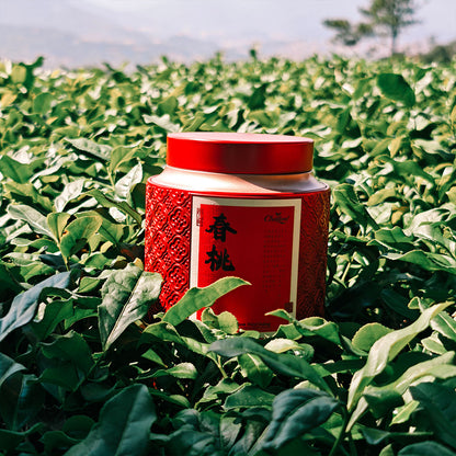 Spring Blossom Wuyi Oolong 50g Chaliland
