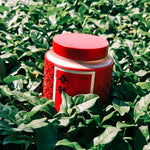 Spring Blossom Wuyi Oolong 50g Chaliland