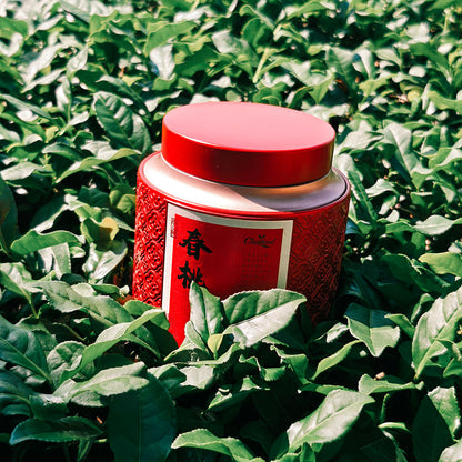 Spring Blossom Wuyi Oolong 50g Chaliland